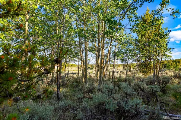 $129,000 | Coil Drive, Fairplay, CO 80440