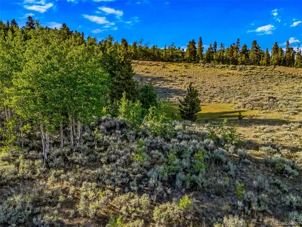 $129,000 | Coil Drive, Fairplay, CO 80440