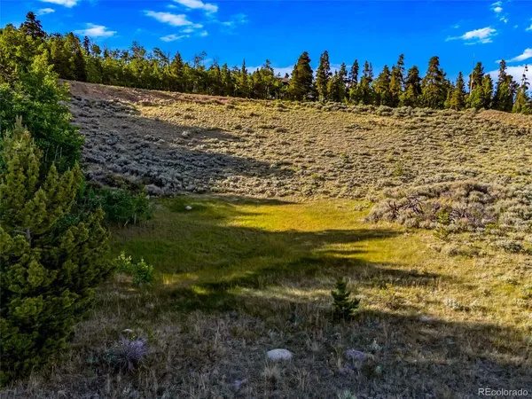 $129,000 | Coil Drive, Fairplay, CO 80440