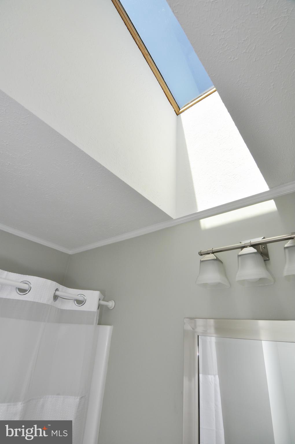 851 Pinetop Road Gore, VA 22637 - Photo 22 of 30 Bath skylight