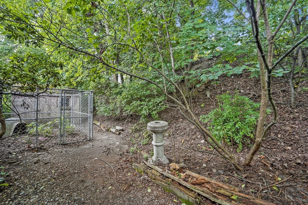 577 Grove Street Worcester, MA 01605 - Photo 34 of 39 a backyard of a house with lots of plants and large trees