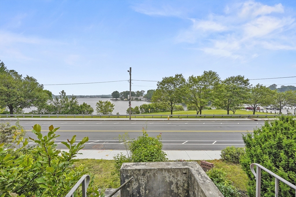 577 Grove Street Worcester, MA 01605 - Photo 5 of 39 a view of a swimming pool with a lawn chairs and plants