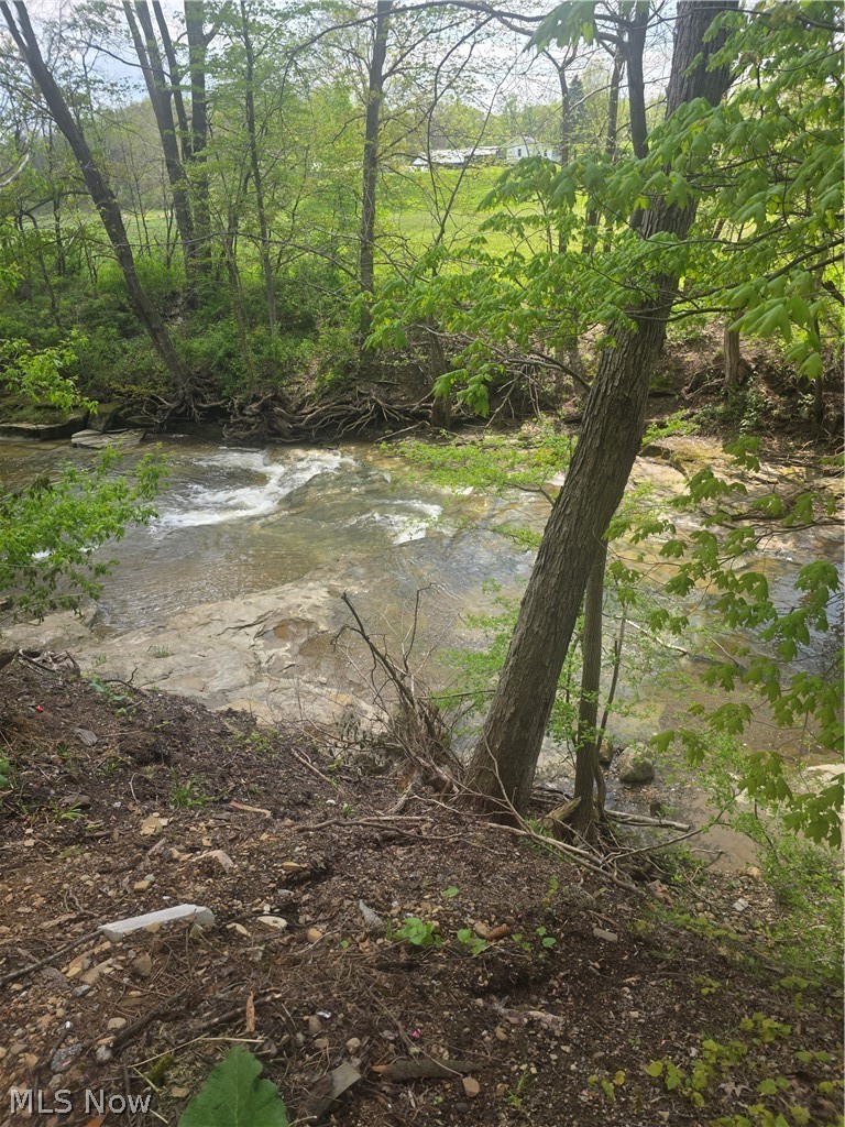 Swine Creek Road Middlefield, OH 44062 - Photo 12 of 20