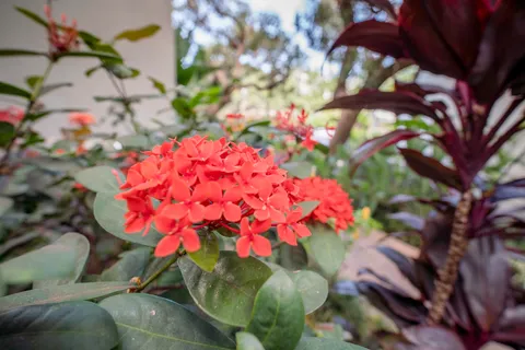 $749,950 | 300 Hauoli Street, Unit A9, Wailuku, HI 96793