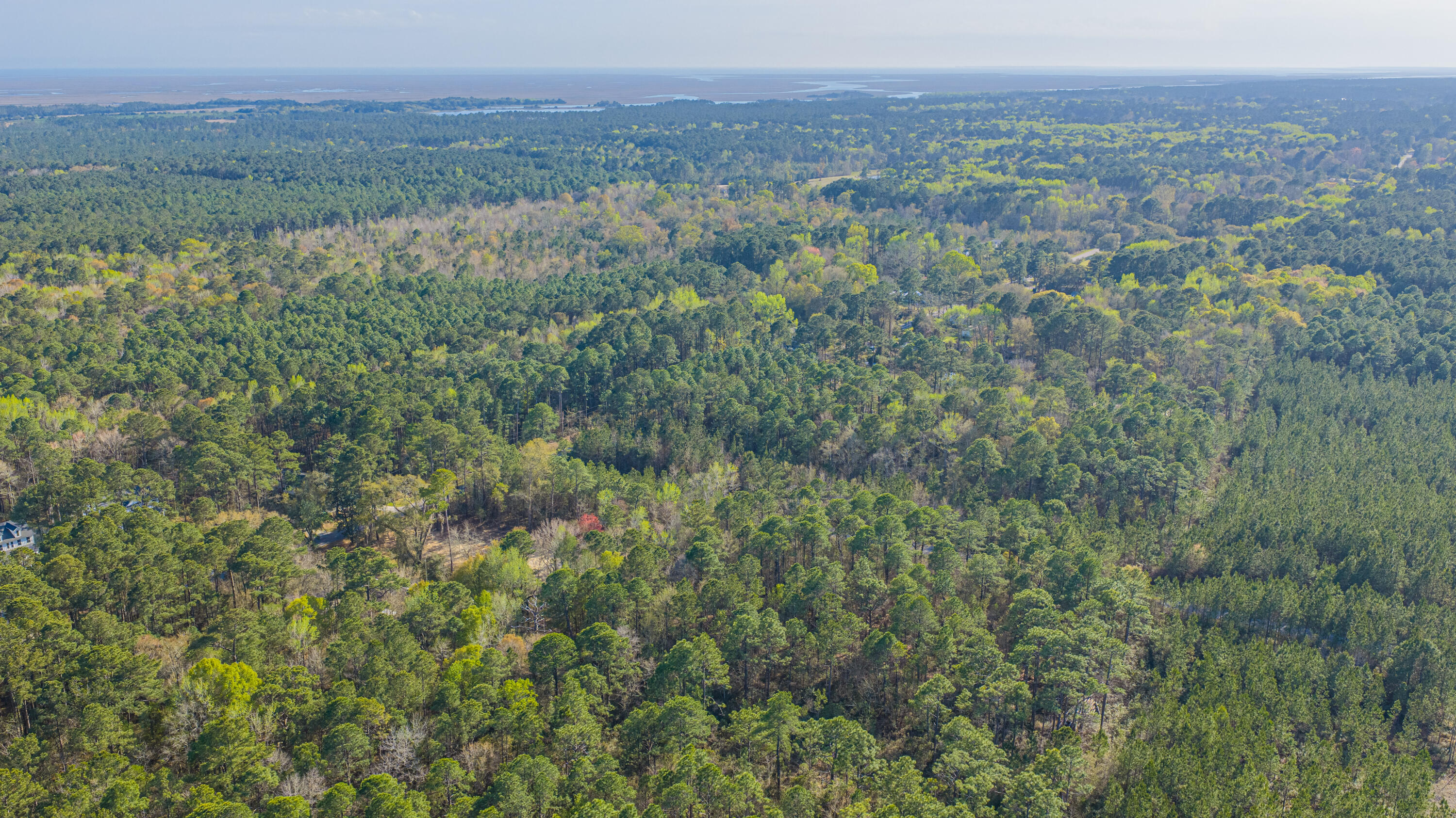 808 Society Road McClellanville, SC 29458 - Photo 33 of 50 808SocietyRd049