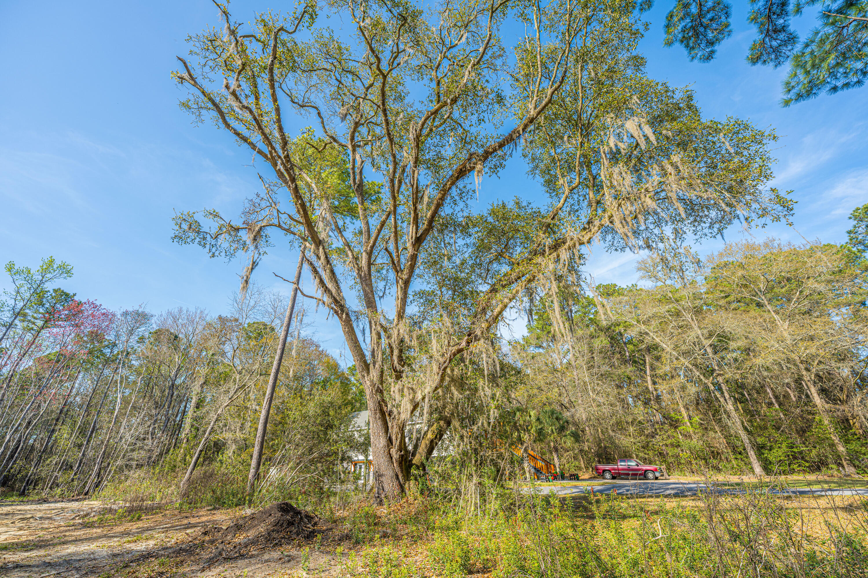 808 Society Road McClellanville, SC 29458 - Photo 4 of 50 808SocietyRd003