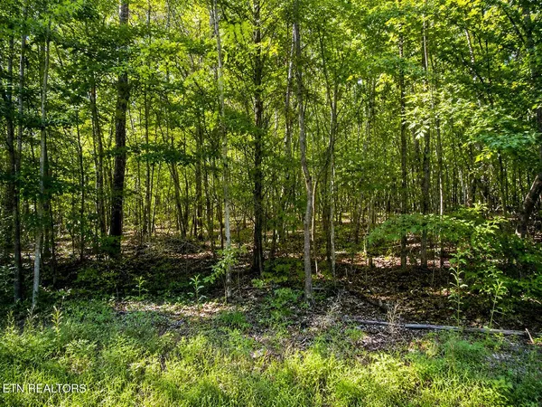 $100,000 | Lot 5 Keylon Hollow Road, Ten Mile, TN 37880