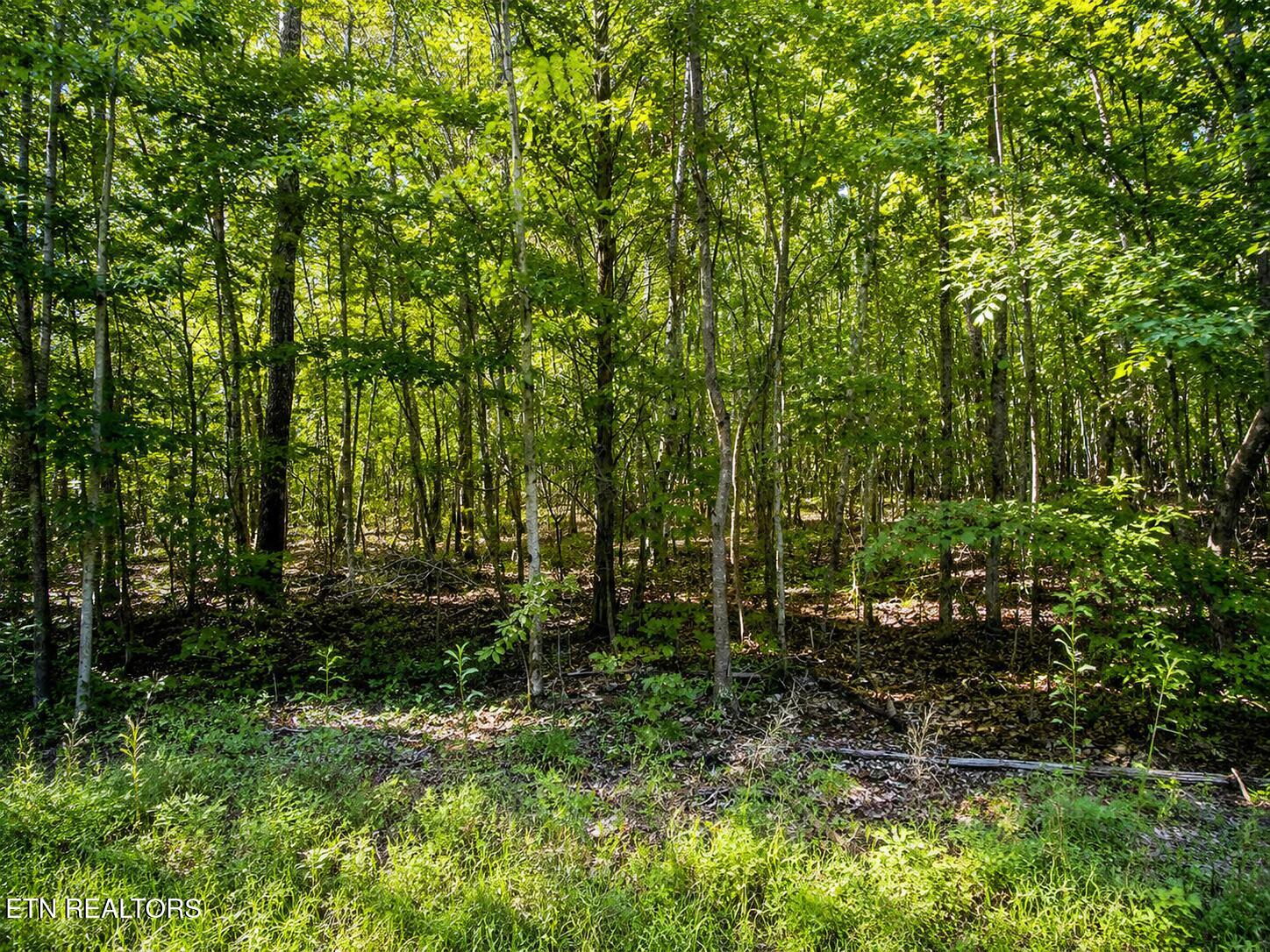 Lot 5 Keylon Hollow Road Ten Mile, TN 37880 - Photo 1 of 3 image 1