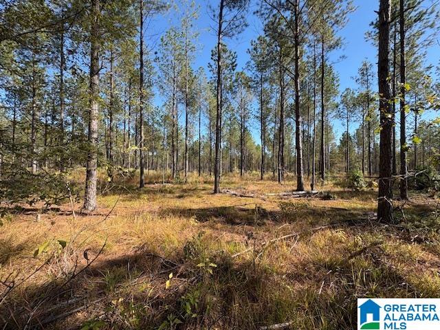 231 Us Highway Mathews, AL 36052 - Photo 13 of 22