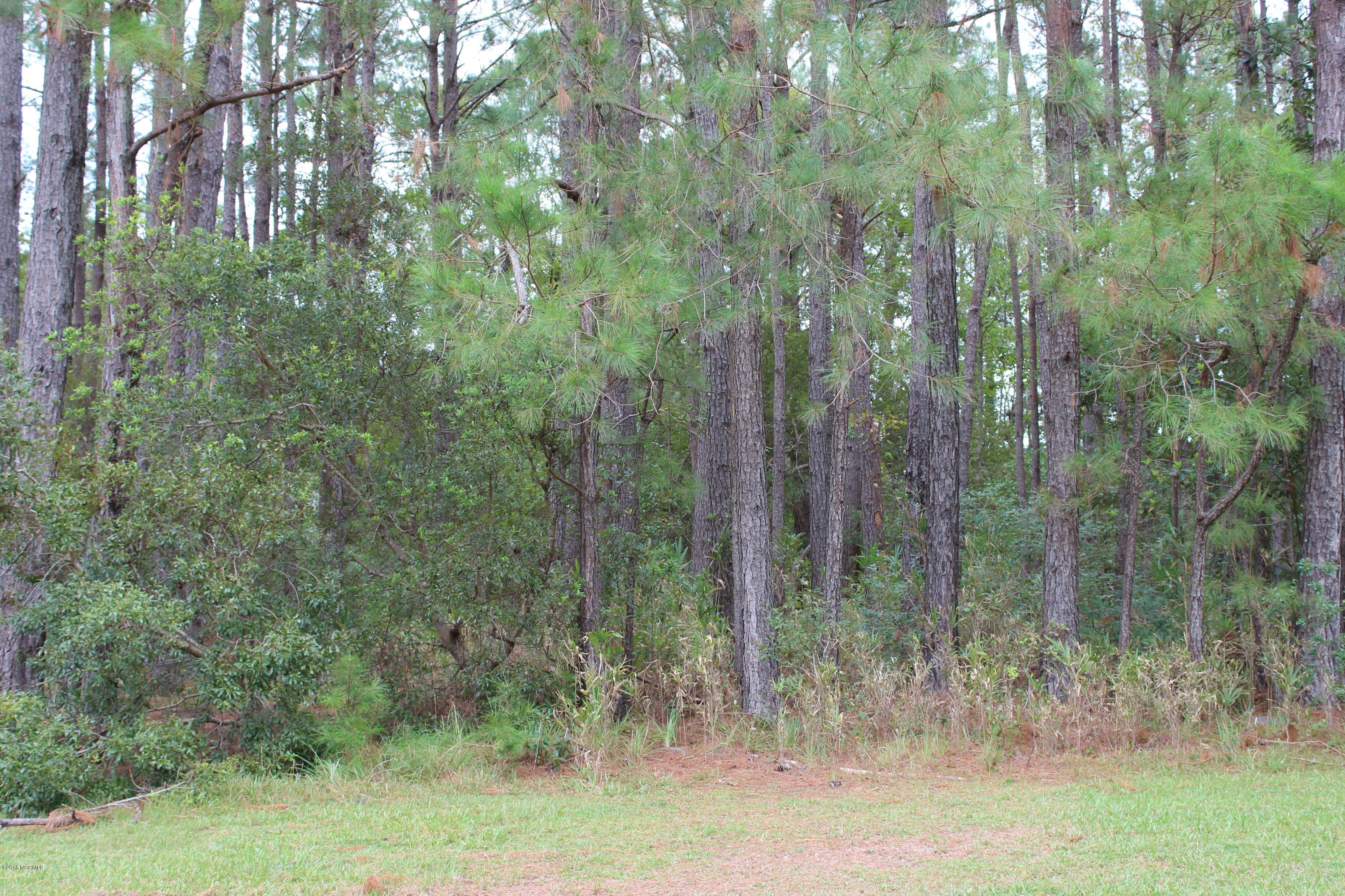 481 Gray Bridge Road Southwest Shallotte, NC 28470 - Photo 1 of 29 003