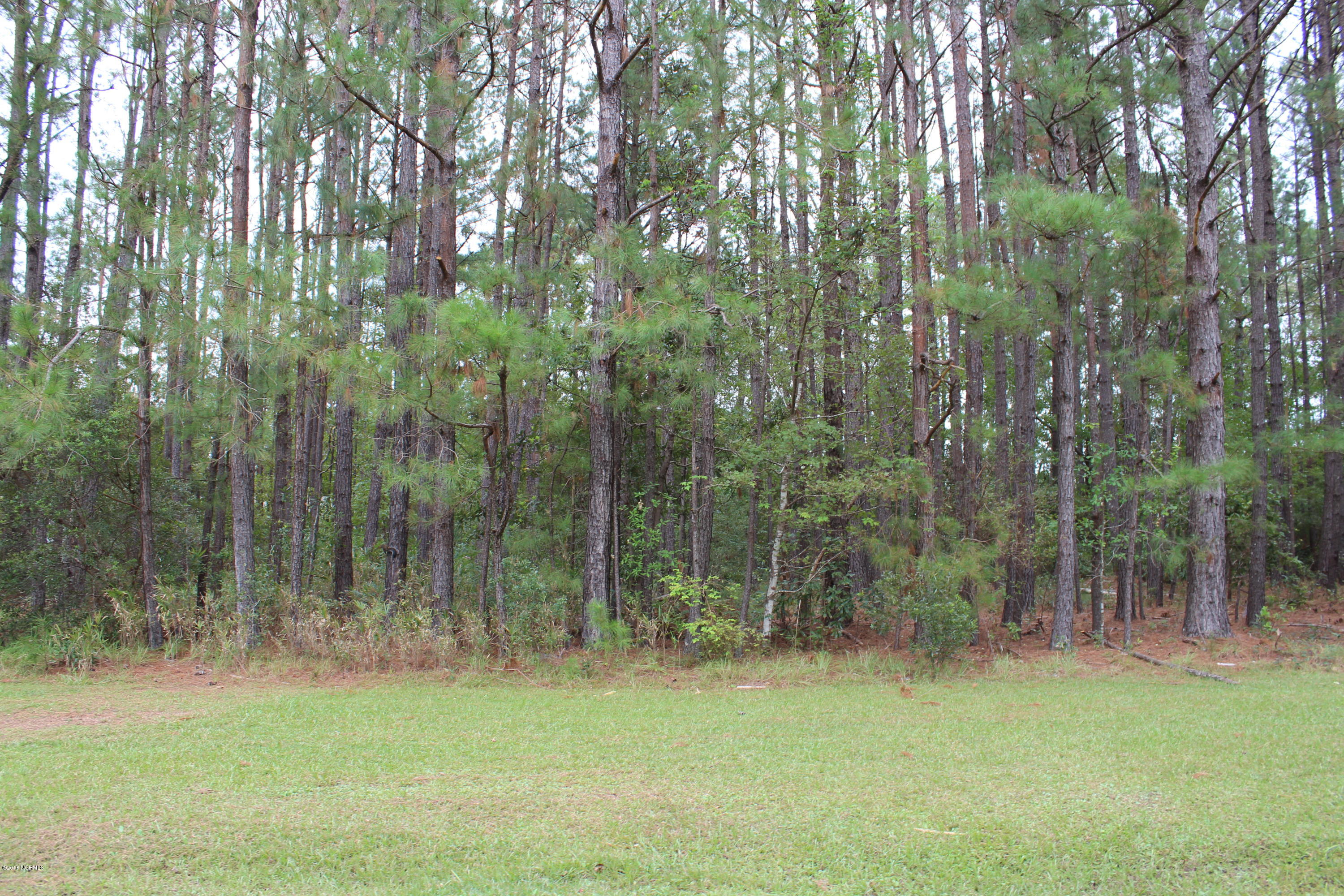481 Gray Bridge Road Southwest Shallotte, NC 28470 - Photo 2 of 29 004
