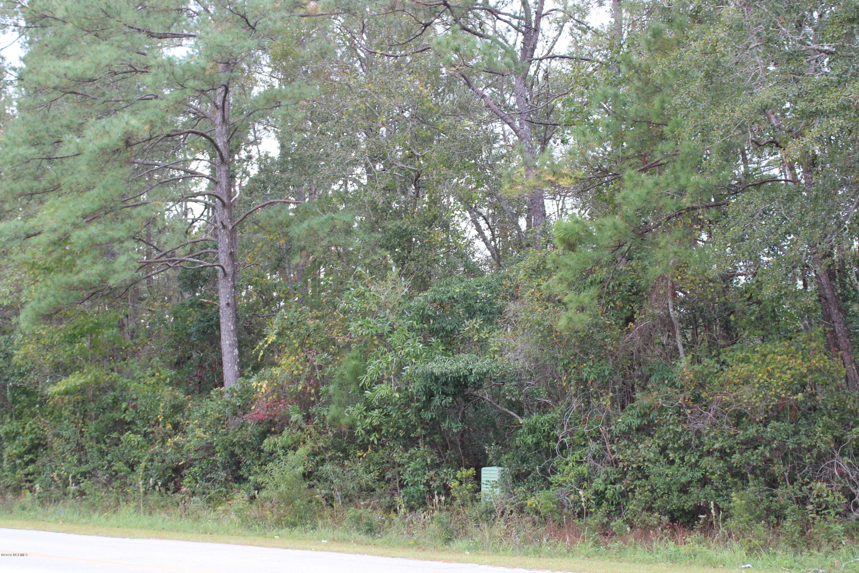 481 Gray Bridge Road Southwest Shallotte, NC 28470 - Photo 4 of 29 020