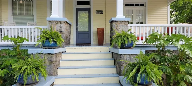 a view of a garden with plants