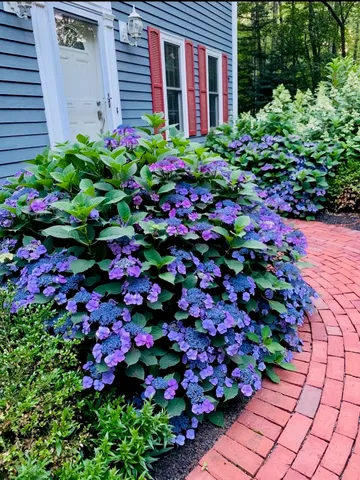 $675,000 | 6 Abbey Road, Bow, NH 03304