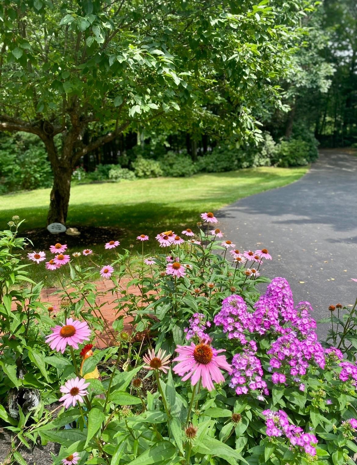 6 Abbey Road Bow, NH 03304 - Photo 44 of 47