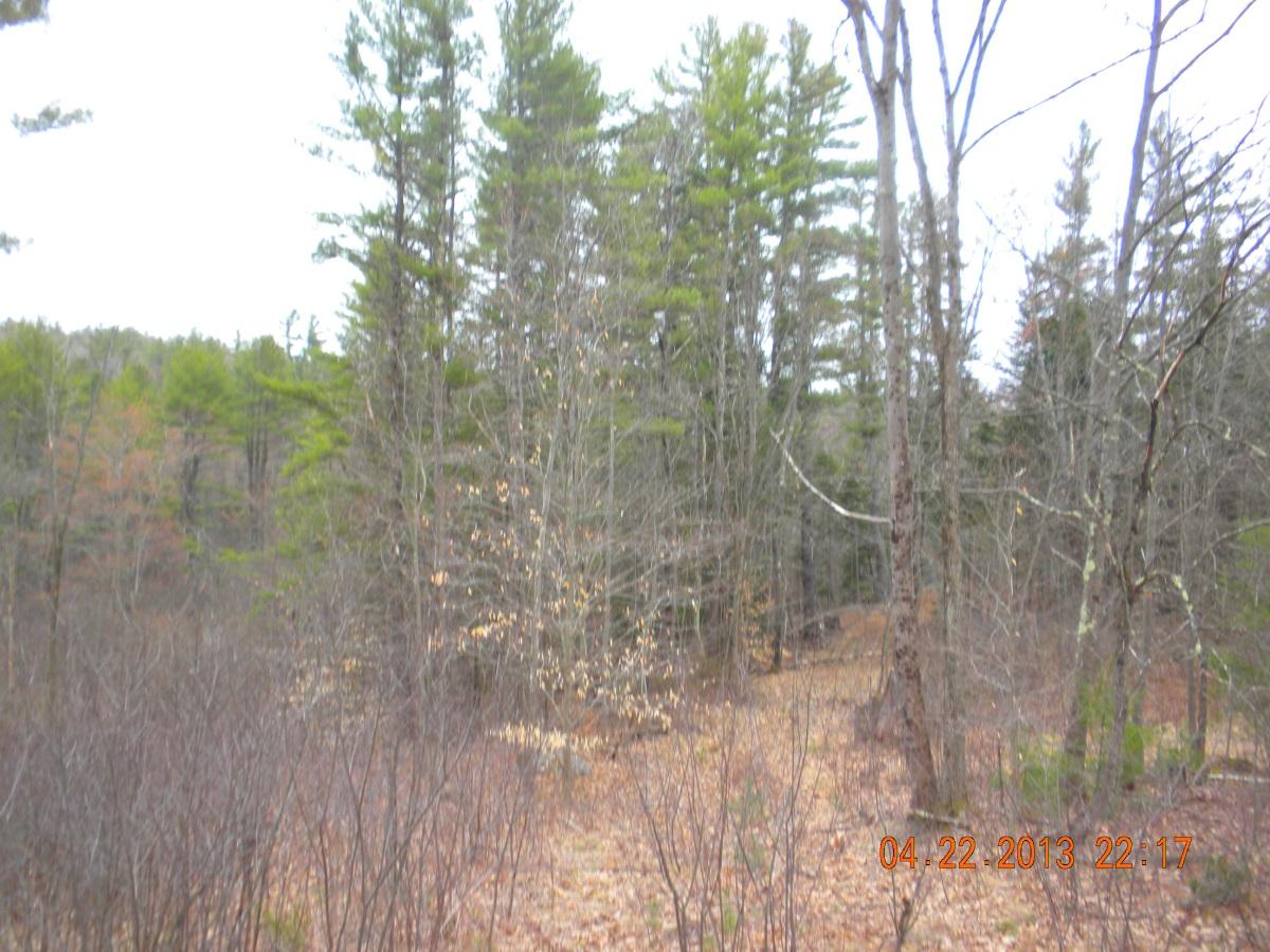 85 Mitchell Hill Road Gorham, ME 04038 - Photo 14 of 39 DSCN6290 a