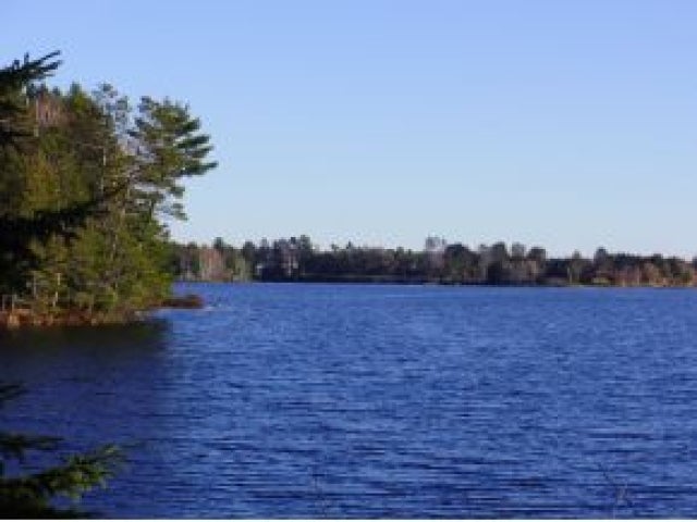 1288 Perch Lake Road Eagle River, WI 54521 - Photo 8 of 11 Gallery Image 8