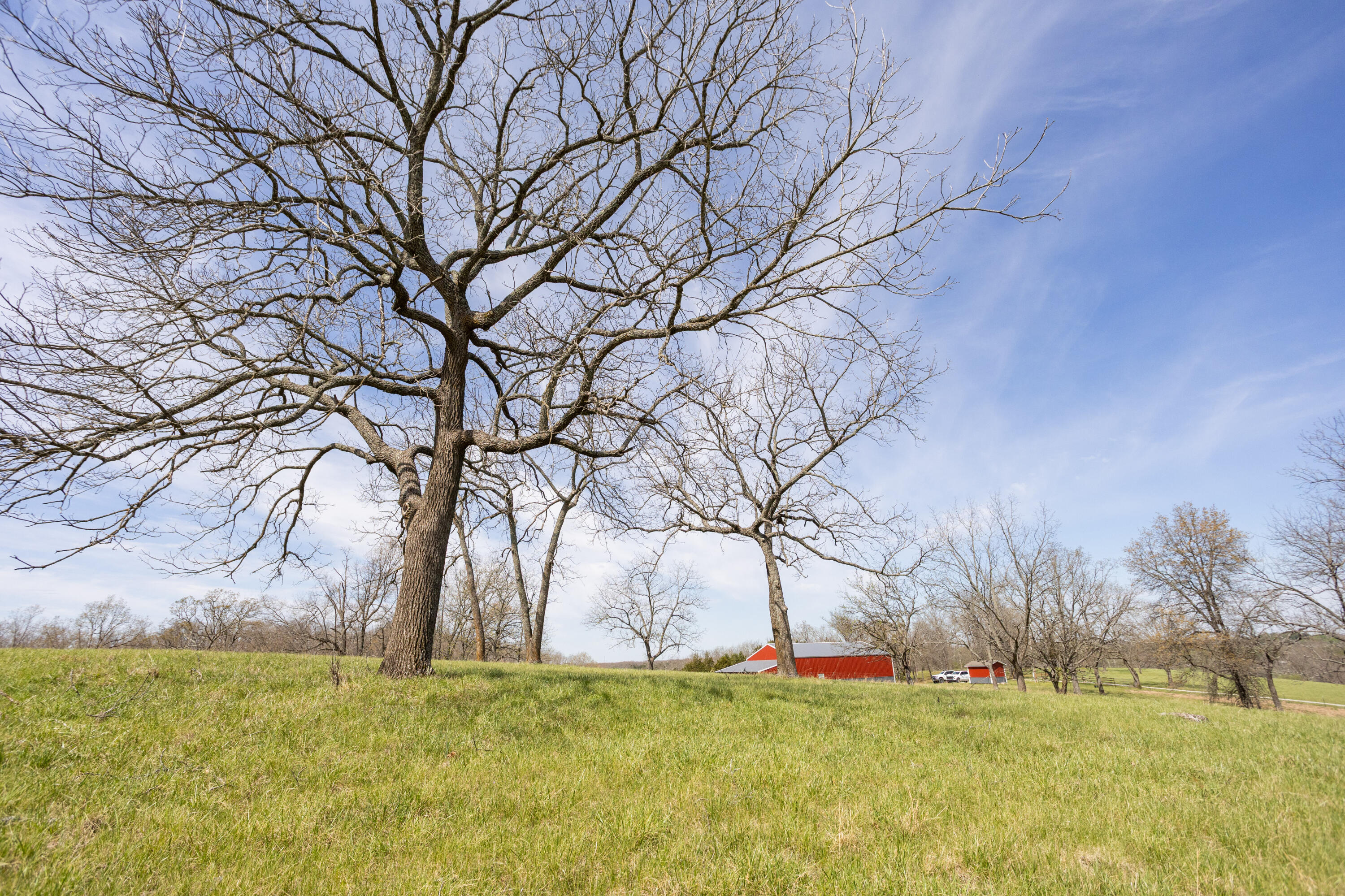 9795 Co Road Ava, MO 65608 - Photo 68 of 93 Douglas198(MLSRES)-54