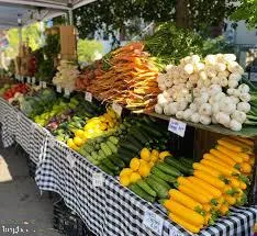 $1,800 | 117 R Street Northwest, Unit 2, Washington, DC 20001