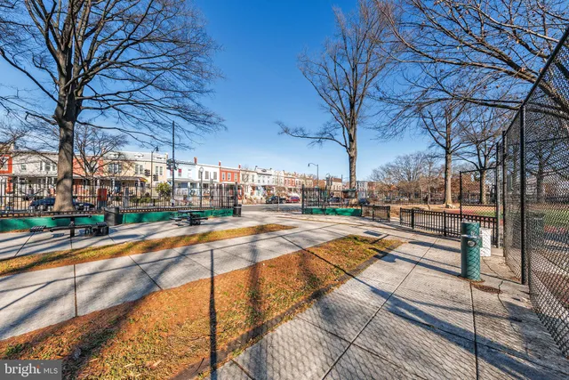 a view of a yard with plants and trees