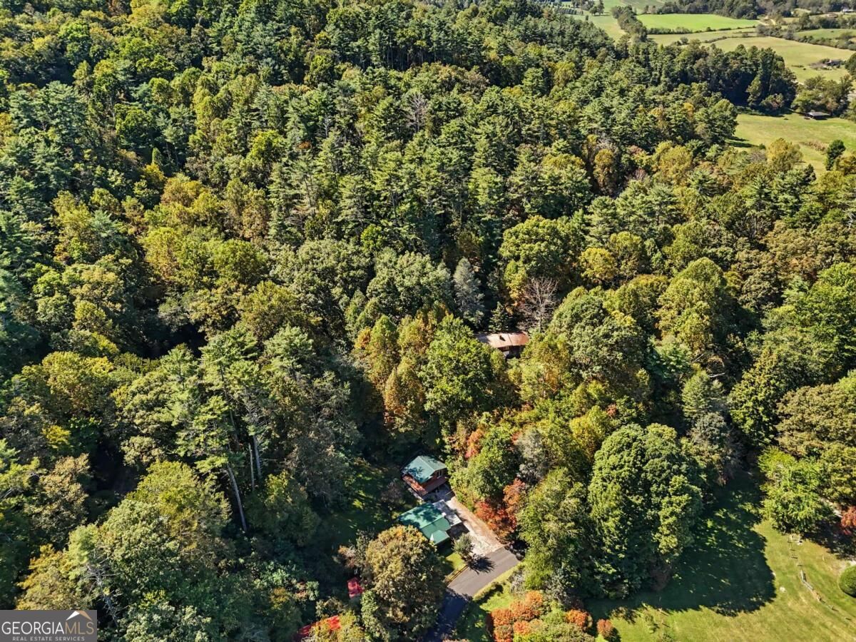 138 Taylors Chapel Road Rabun Gap, GA 30568 - Photo 49 of 52 Gallery Image 49