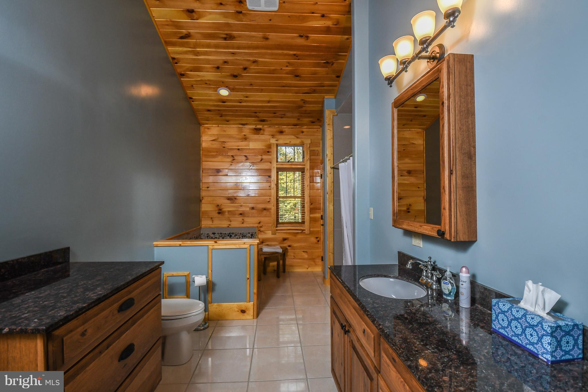 304 Gap Run Road Friendsville, MD 21531 - Photo 25 of 26 Bath (Master)