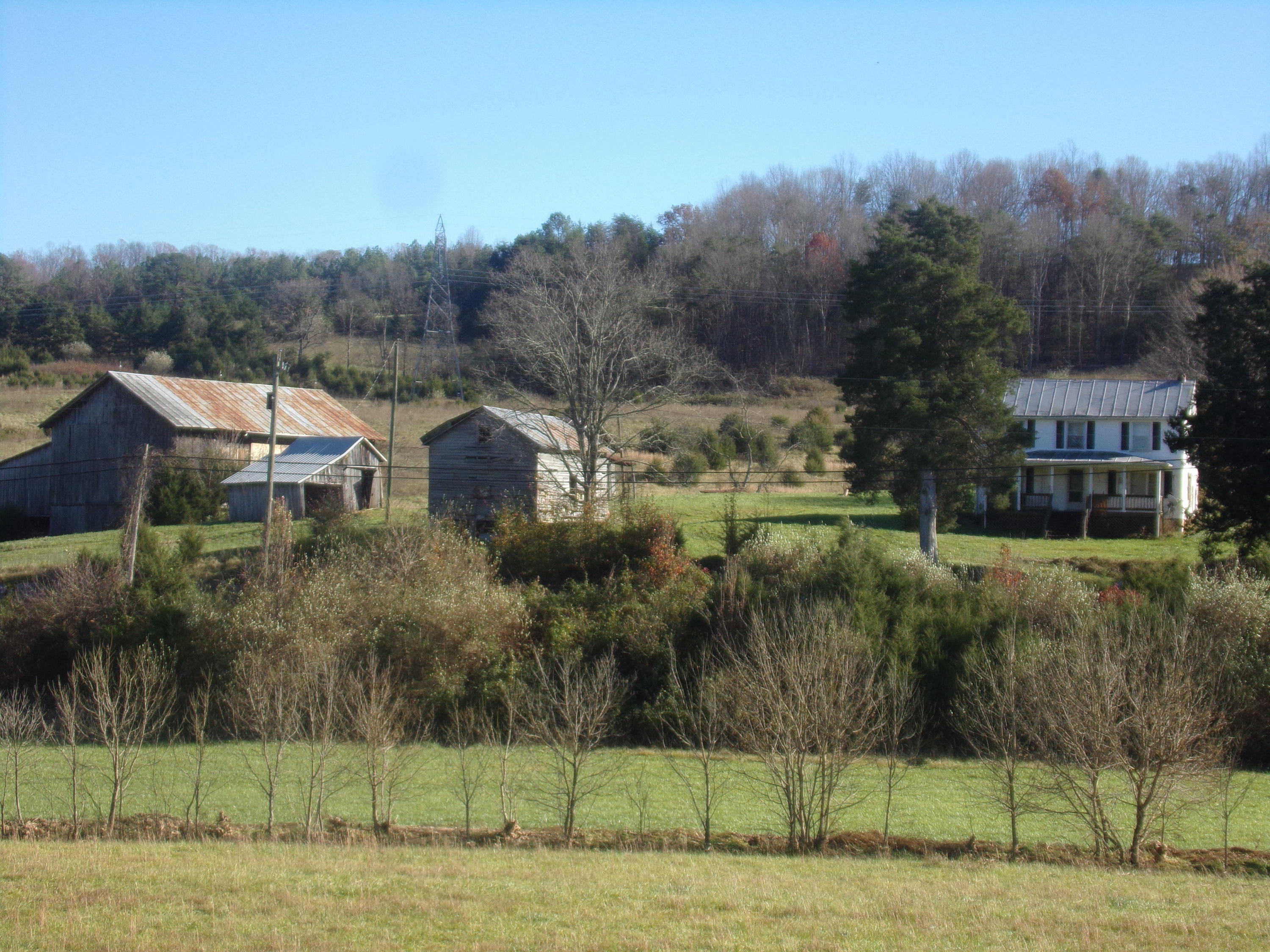 6667 Springwood Road Buchanan, VA 24066 - Photo 1 of 20 Listing