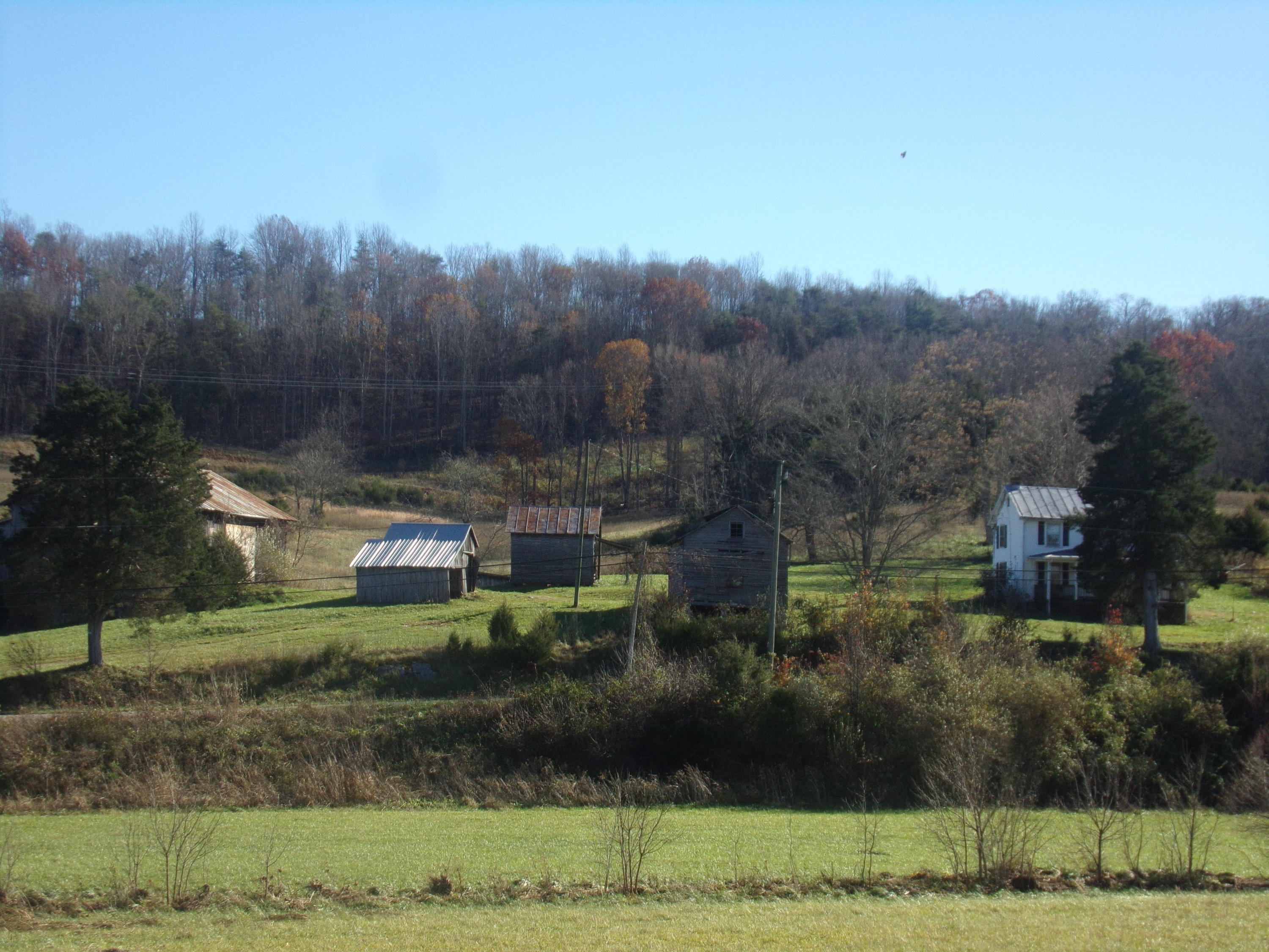 6667 Springwood Road Buchanan, VA 24066 - Photo 11 of 20 100_0887