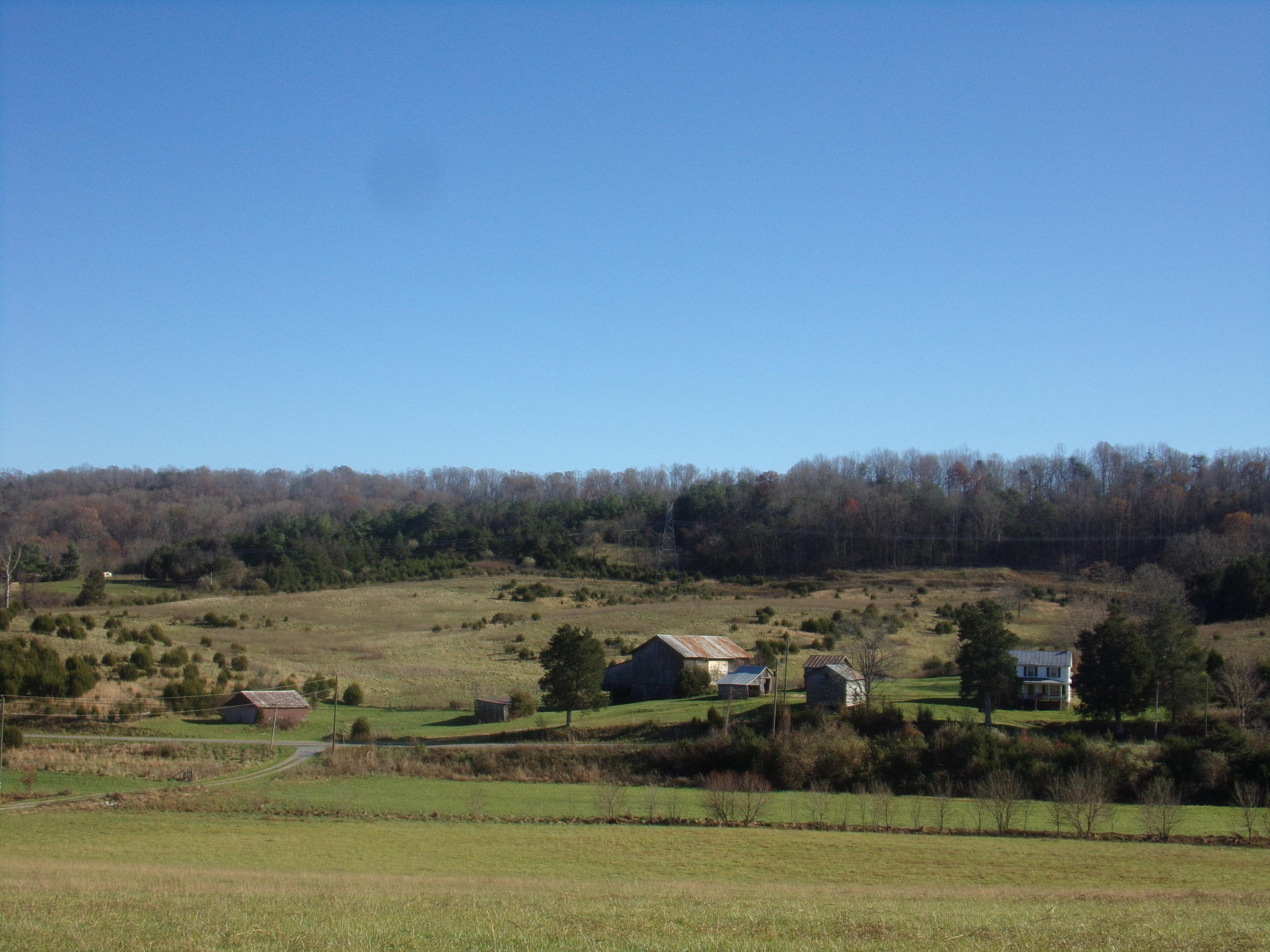 6667 Springwood Road Buchanan, VA 24066 - Photo 16 of 20 100_0893