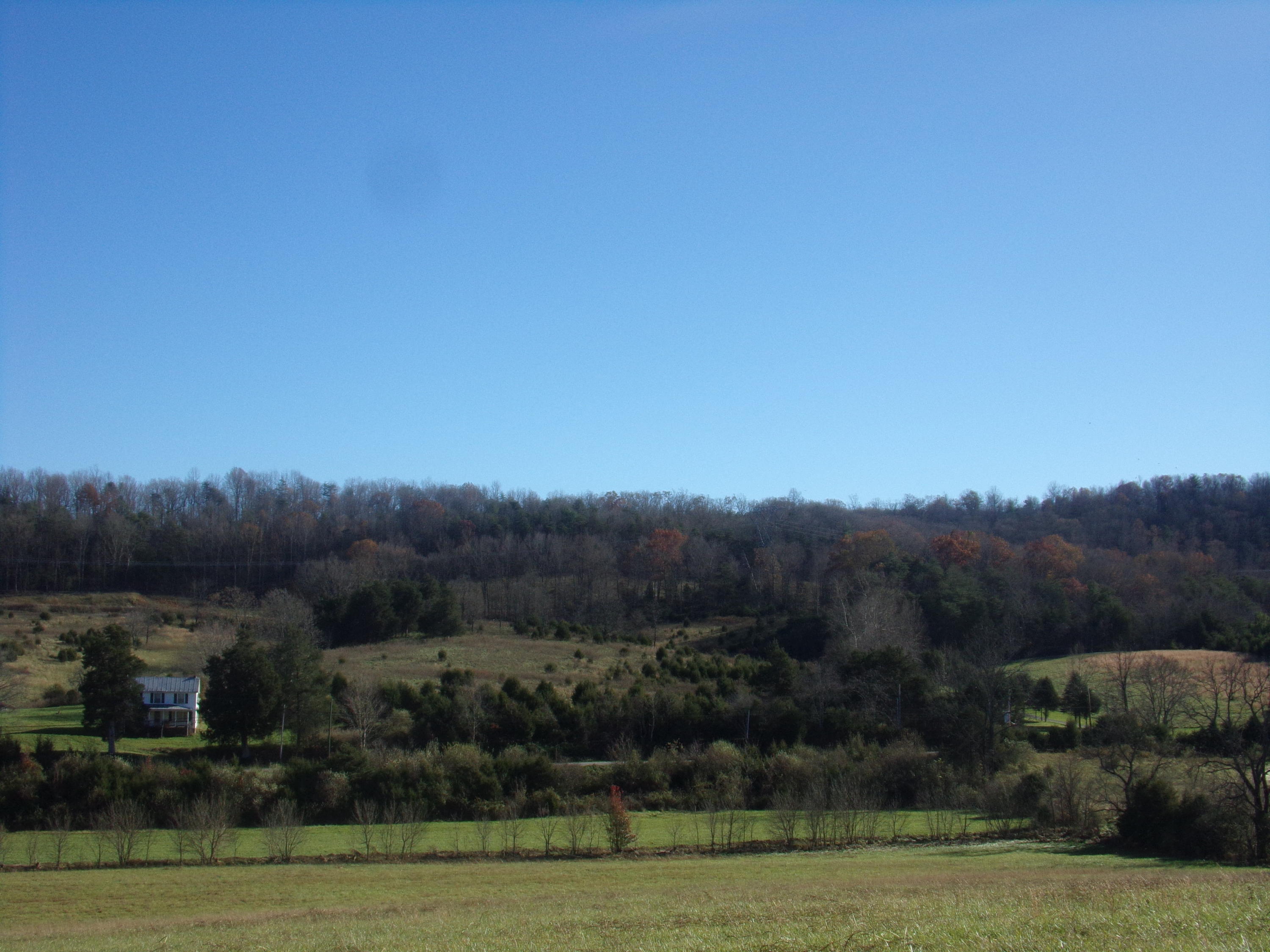 6667 Springwood Road Buchanan, VA 24066 - Photo 17 of 20 100_0894