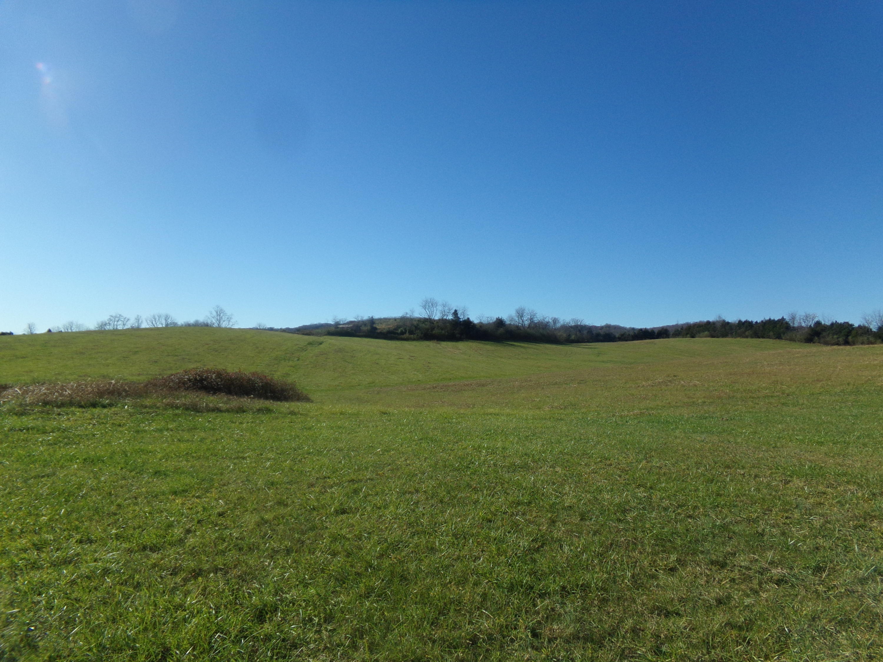 6667 Springwood Road Buchanan, VA 24066 - Photo 4 of 20 100_0880