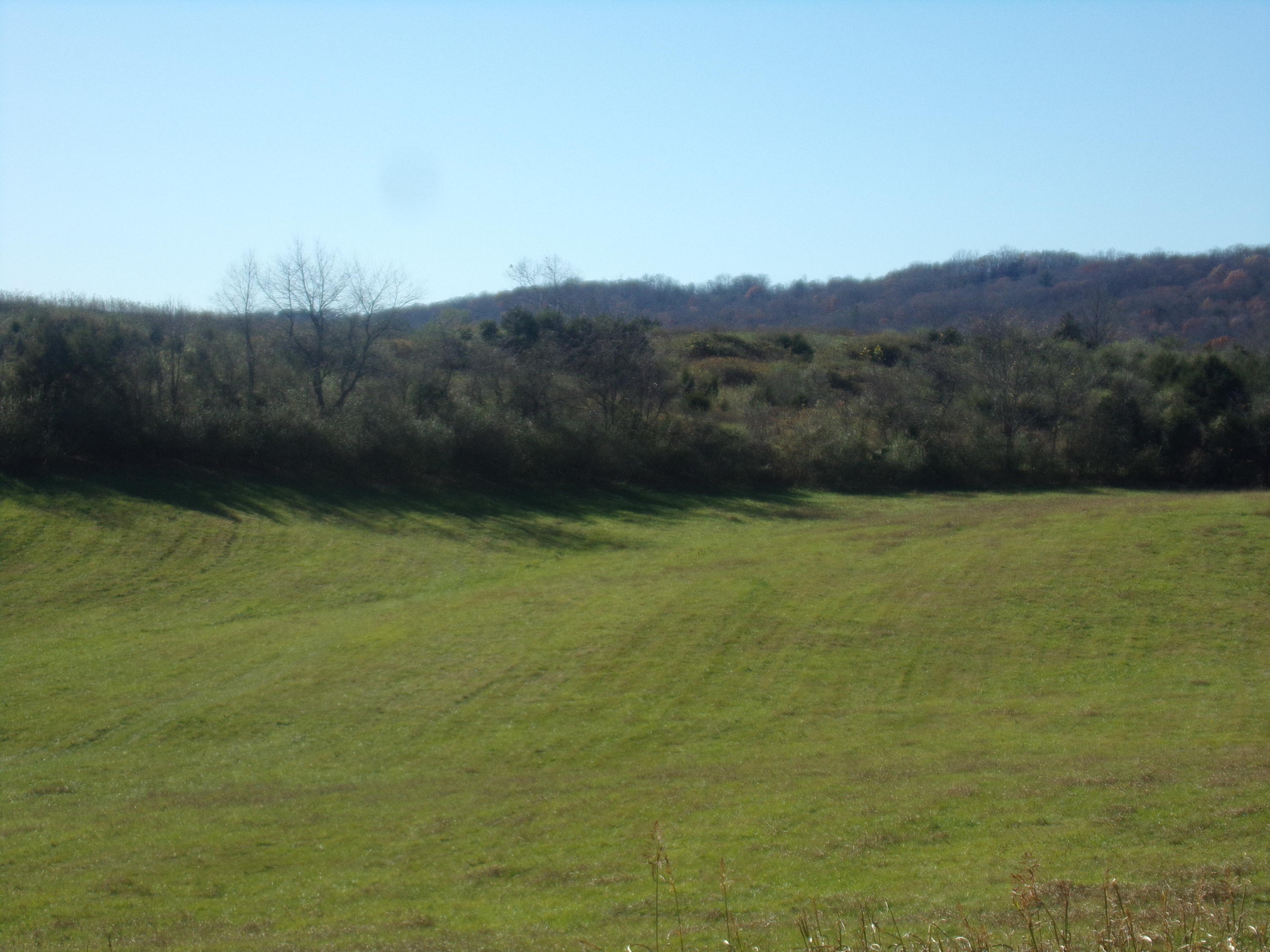 6667 Springwood Road Buchanan, VA 24066 - Photo 5 of 20 100_0881