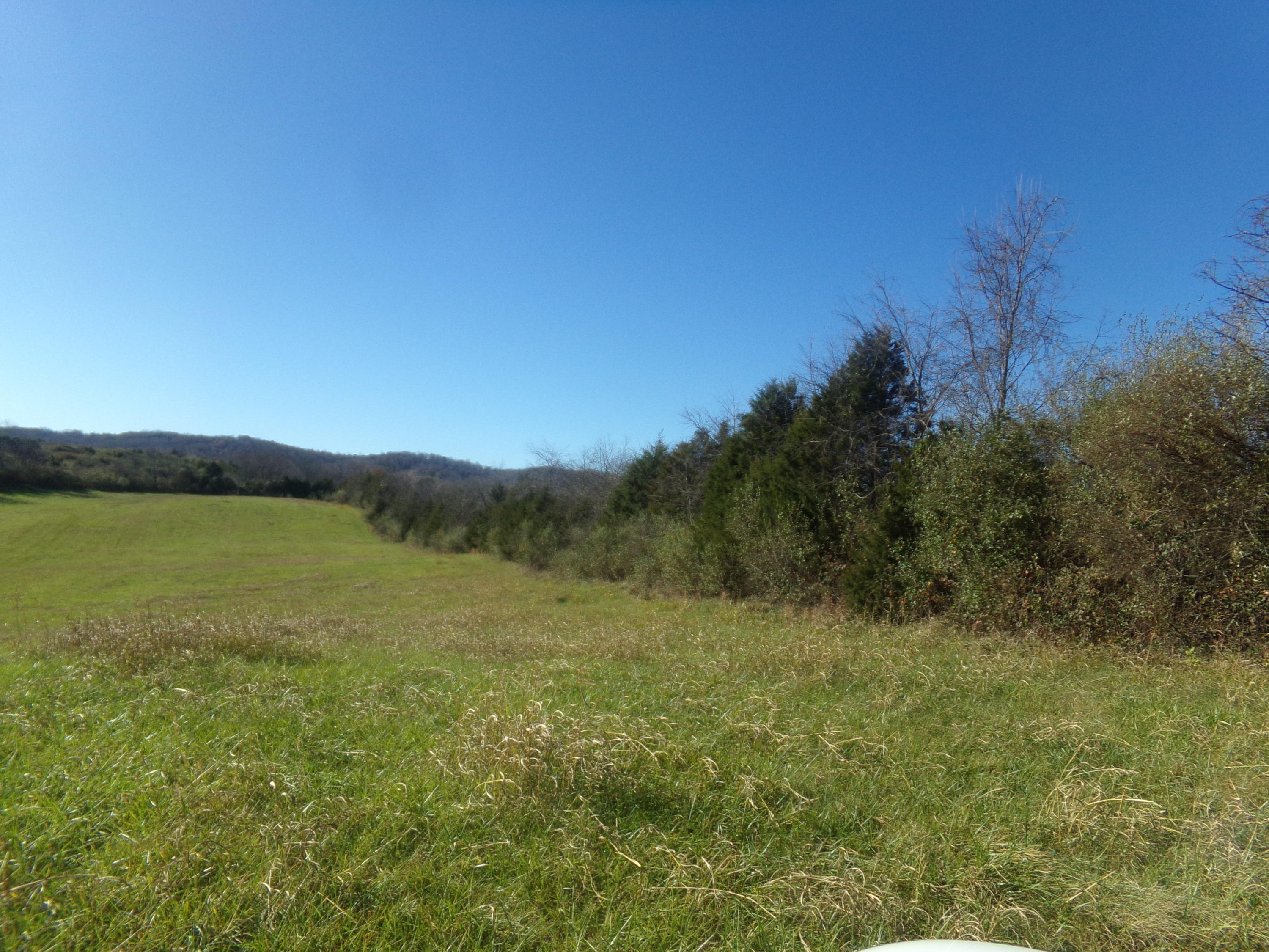 6667 Springwood Road Buchanan, VA 24066 - Photo 6 of 20 100_0882