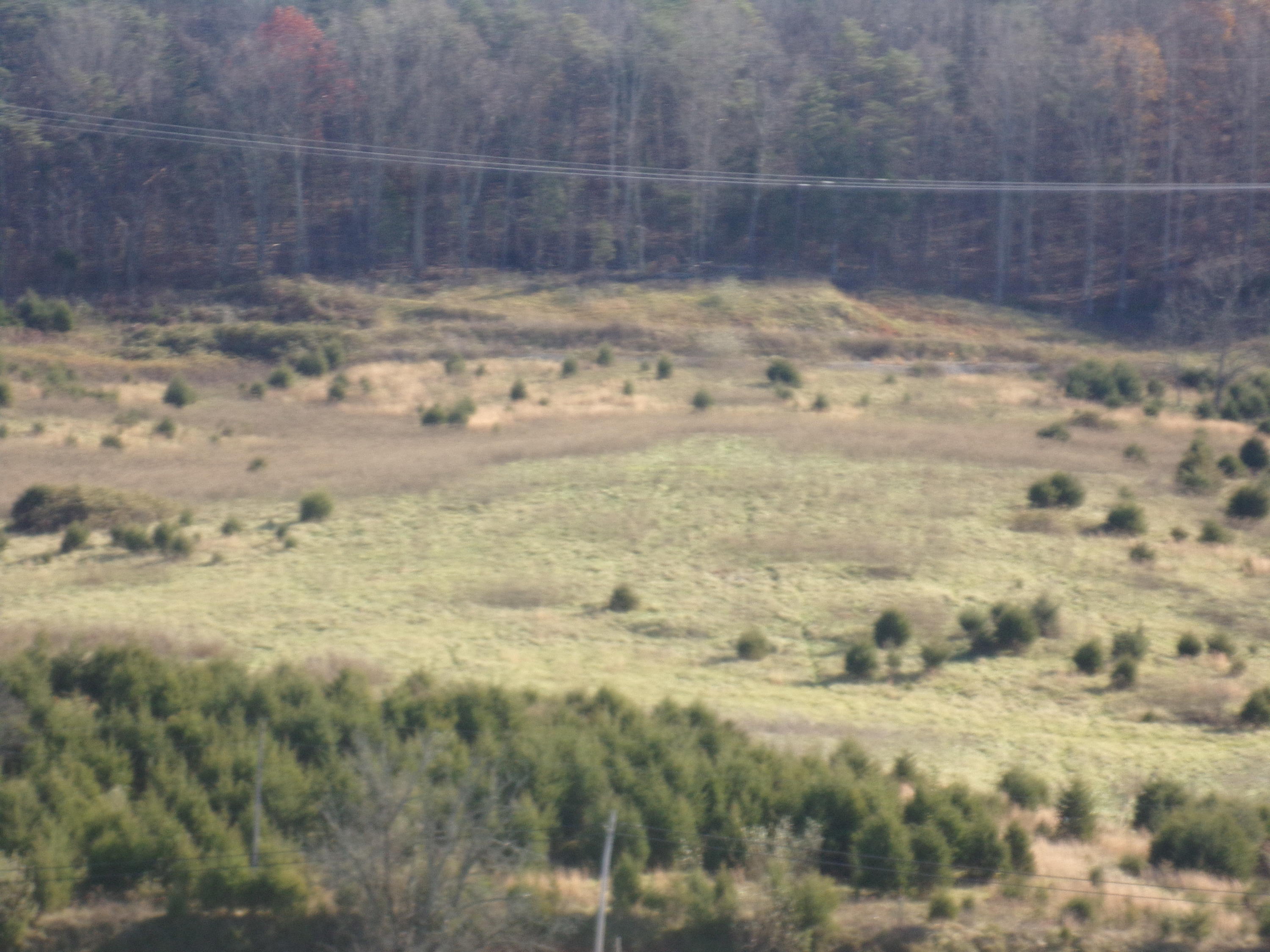6667 Springwood Road Buchanan, VA 24066 - Photo 7 of 20 100_0883