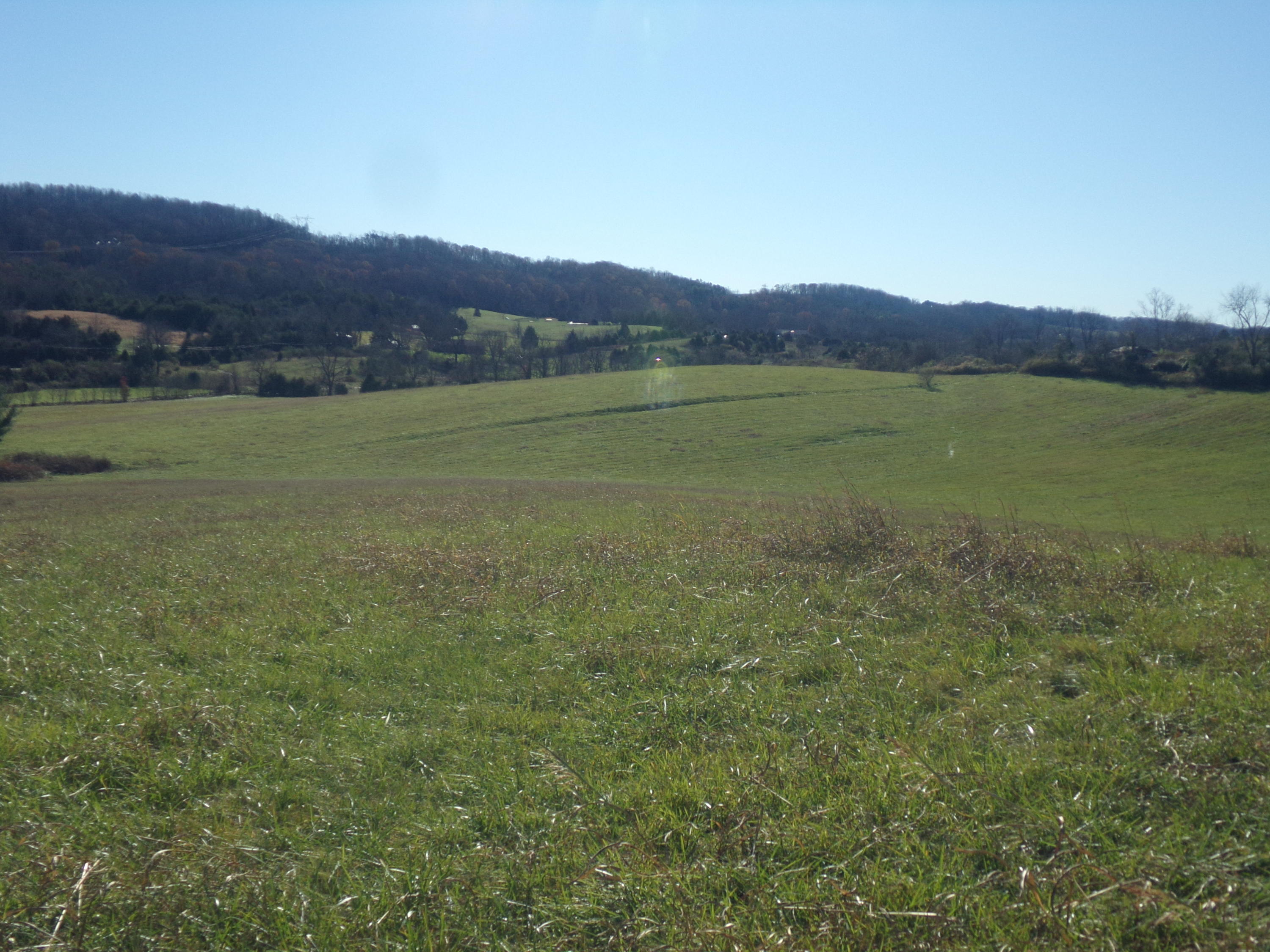 6667 Springwood Road Buchanan, VA 24066 - Photo 9 of 20 100_0885