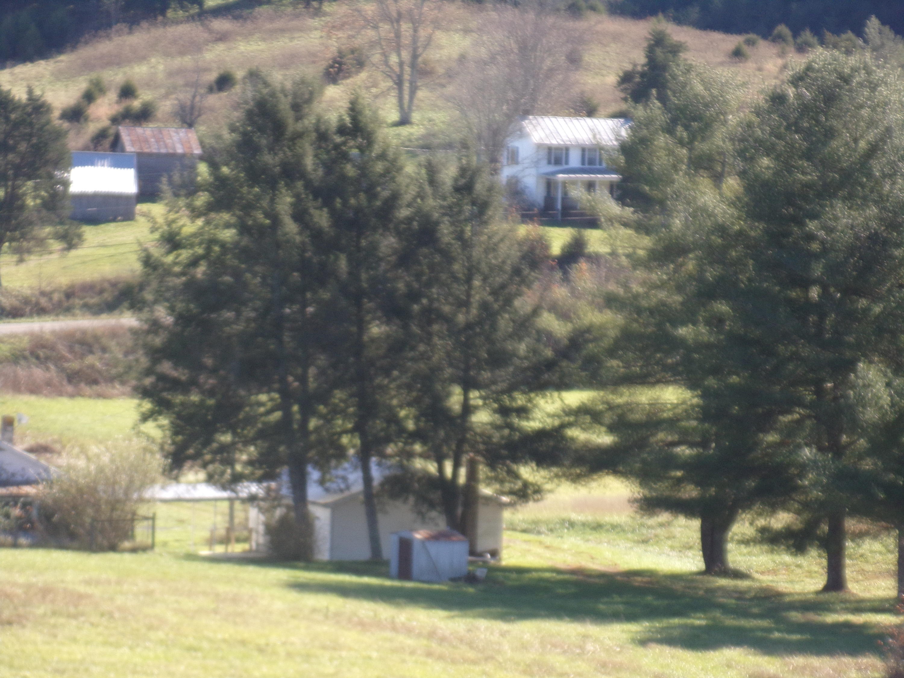6667 Springwood Road Buchanan, VA 24066 - Photo 10 of 20 100_0886