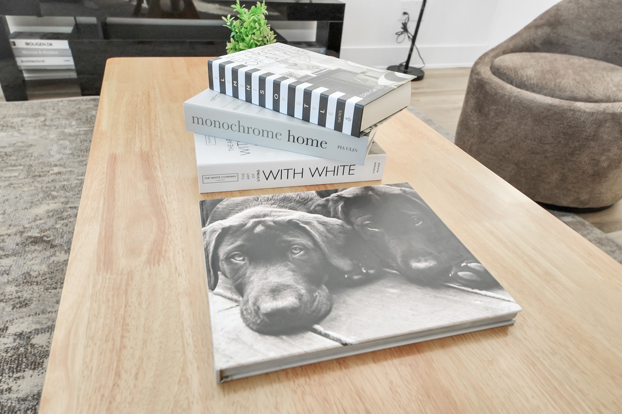 3909 Maggie Street Houston, TX 77051 - Photo 11 of 49 a view of washer and dryer