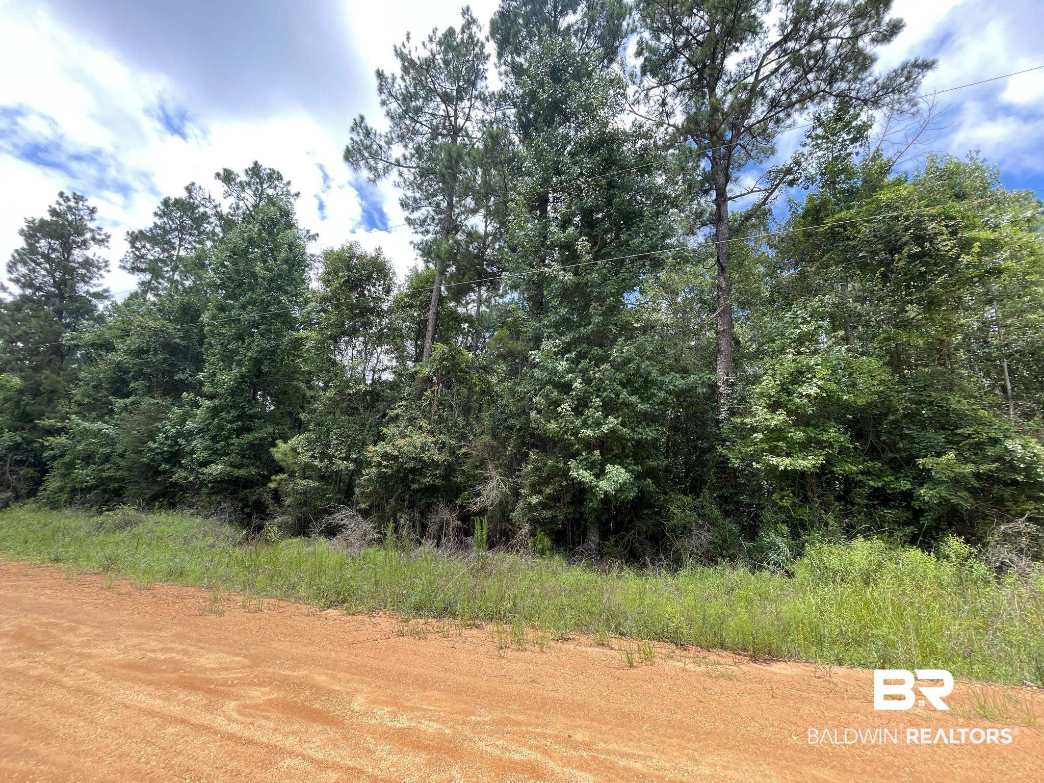 1 Friendship Road Flomaton, AL 36441 - Photo 5 of 13