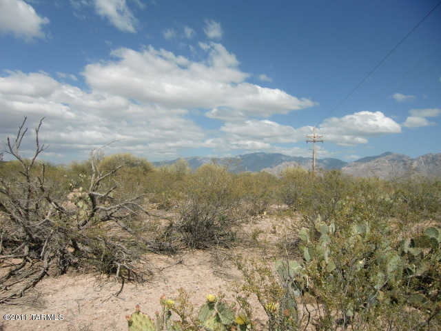 1650 West Sunkist Road Tucson, AZ 85755 - Photo 3 of 3 Gallery Image 3