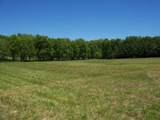2580 Keiser Road Waverly, OH 45690 - Photo 5 of 12