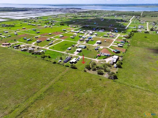 a picture of trees and houses