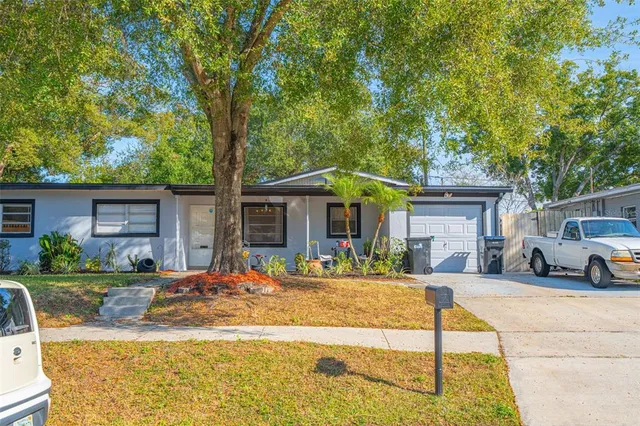 a view of a yard with plants