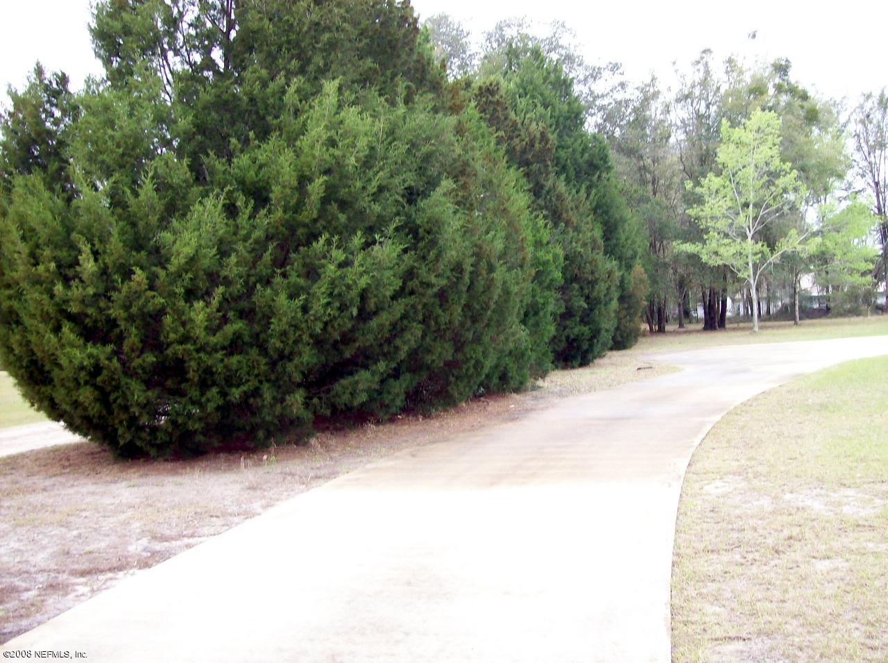 135 Confederate Point Road Palatka, FL 32177 - Photo 3 of 8 Drive Way