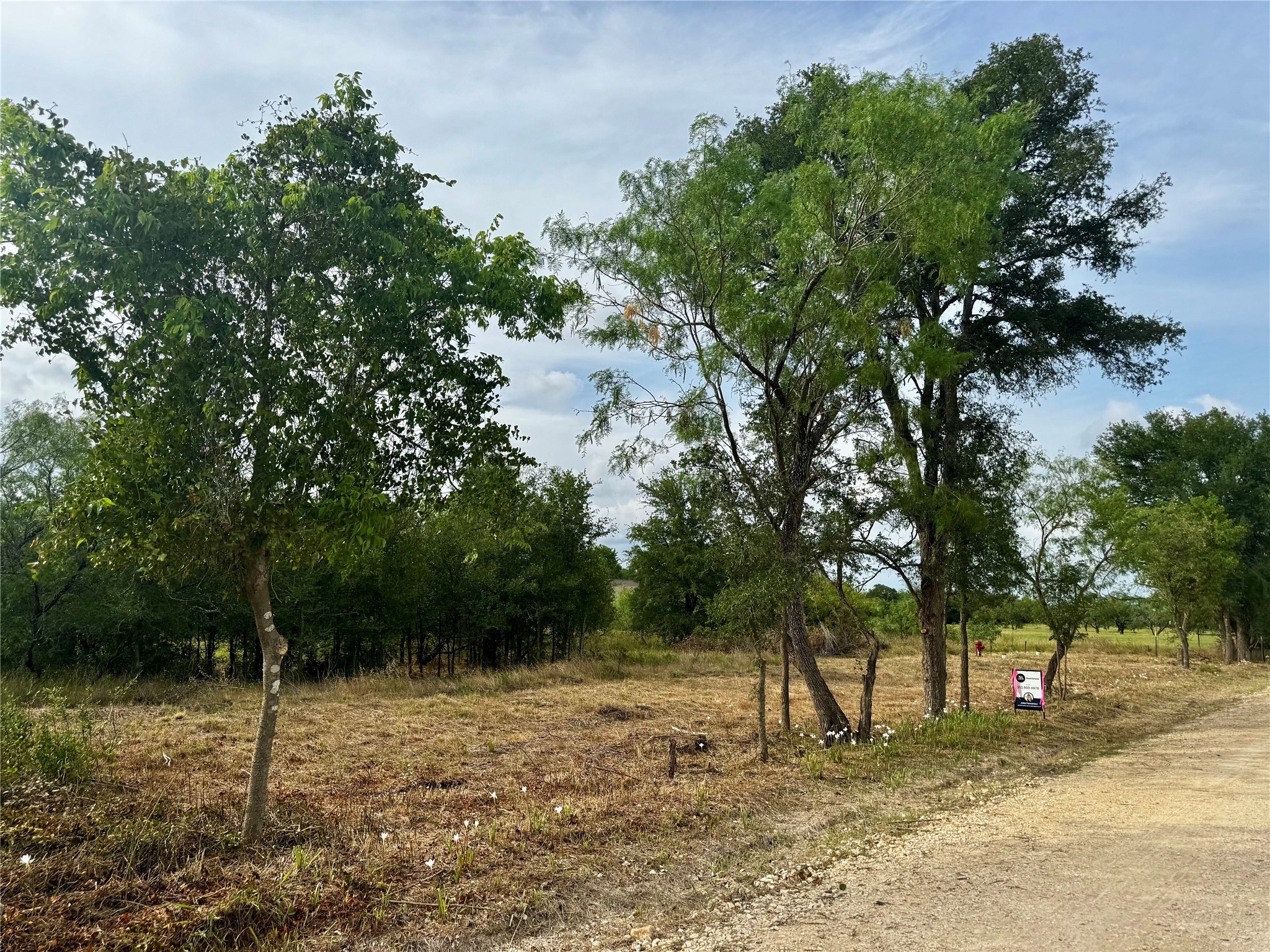 271 Crooked Road Dale, TX 78616 - Photo 5 of 7 View of local wilderness
