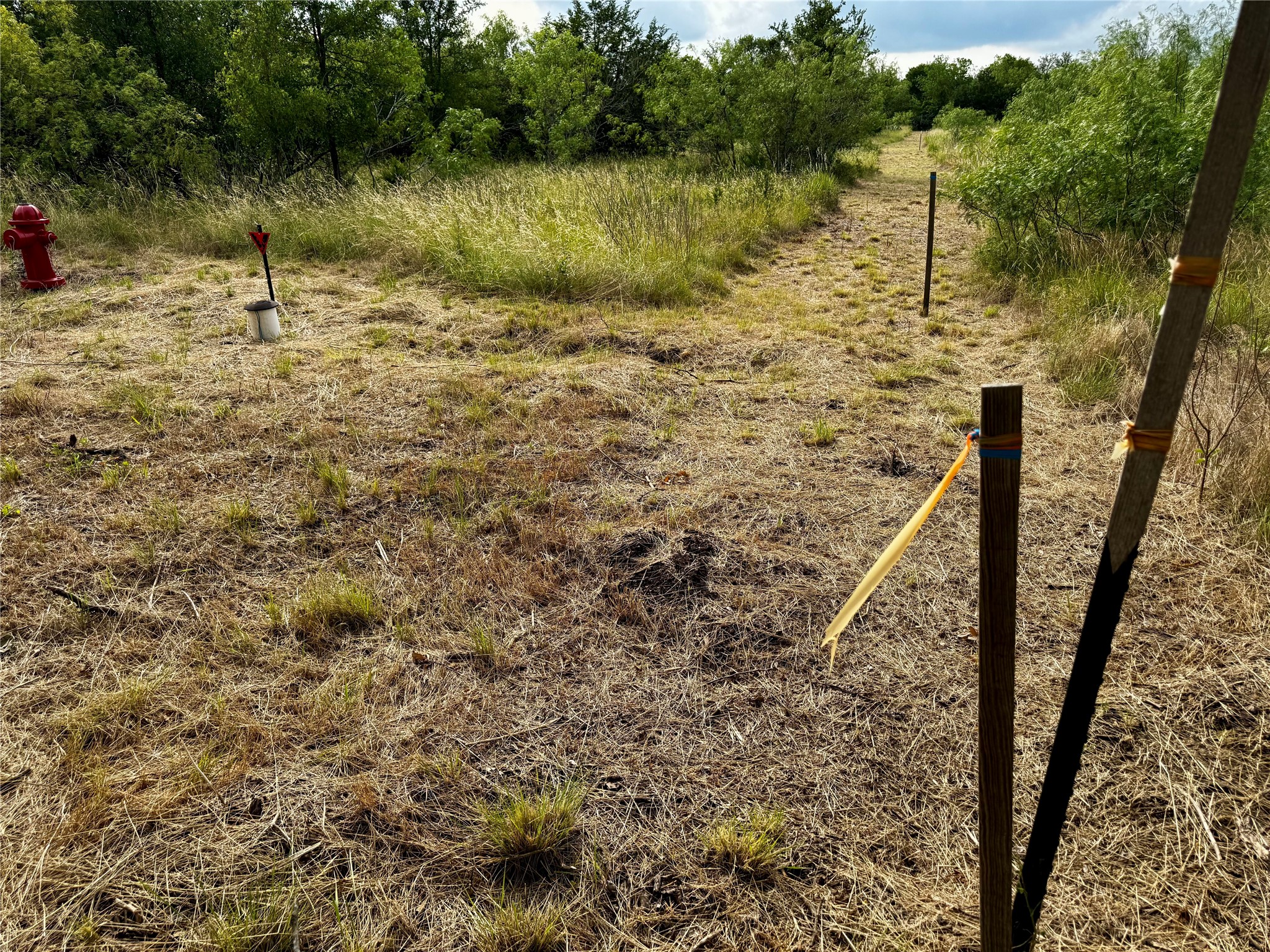 271 Crooked Road Dale, TX 78616 - Photo 6 of 7 View of nature