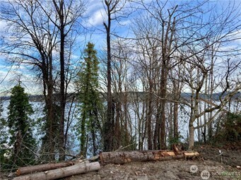 97 Arrowsmith Avenue South Seattle, WA 98118 - Photo 3 of 7 a backyard of a house with lots of green space
