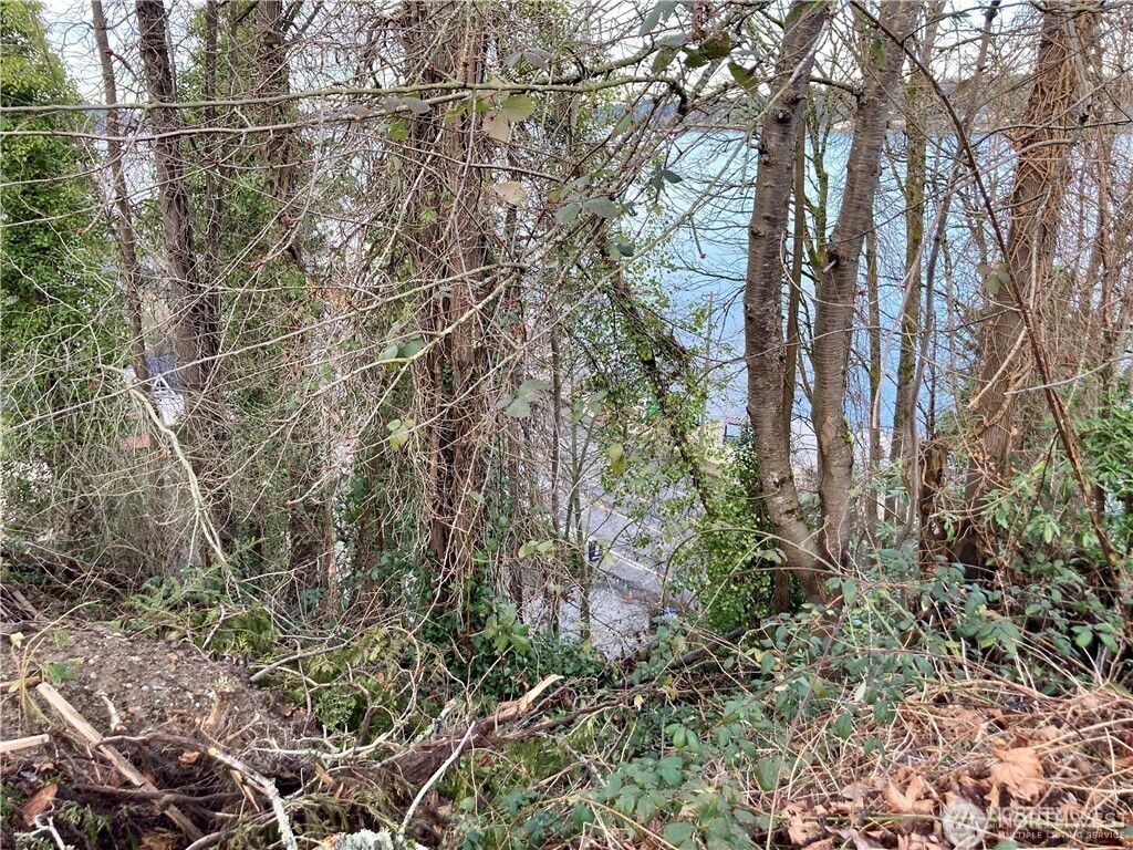 97 Arrowsmith Avenue South Seattle, WA 98118 - Photo 5 of 7 a view of a yard