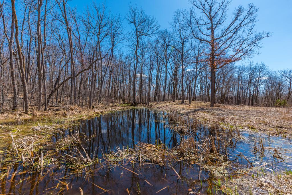 27290 Town Line Lake Road Deerwood, MN 56444 - Photo 13 of 57