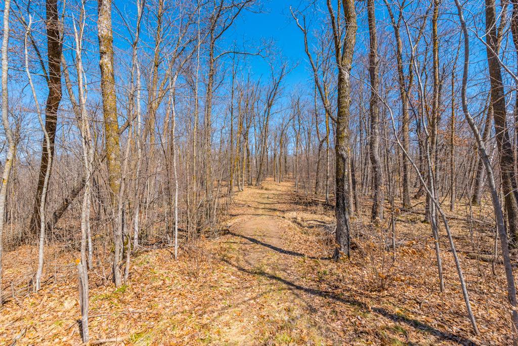 27290 Town Line Lake Road Deerwood, MN 56444 - Photo 26 of 57