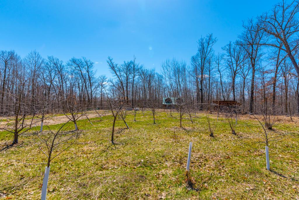 27290 Town Line Lake Road Deerwood, MN 56444 - Photo 28 of 57